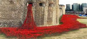 tower of london poppies demilked.com