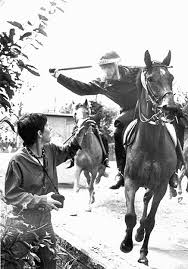 orgreave